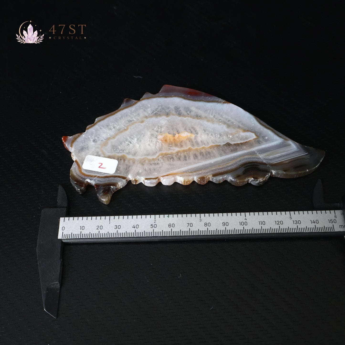 Agate Butterfly Wings Display
