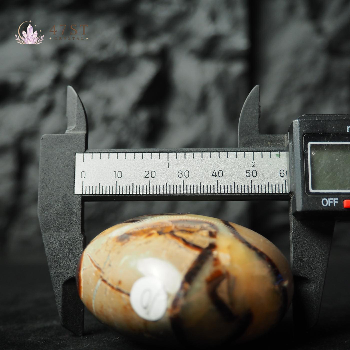 Septarium Palm Stone