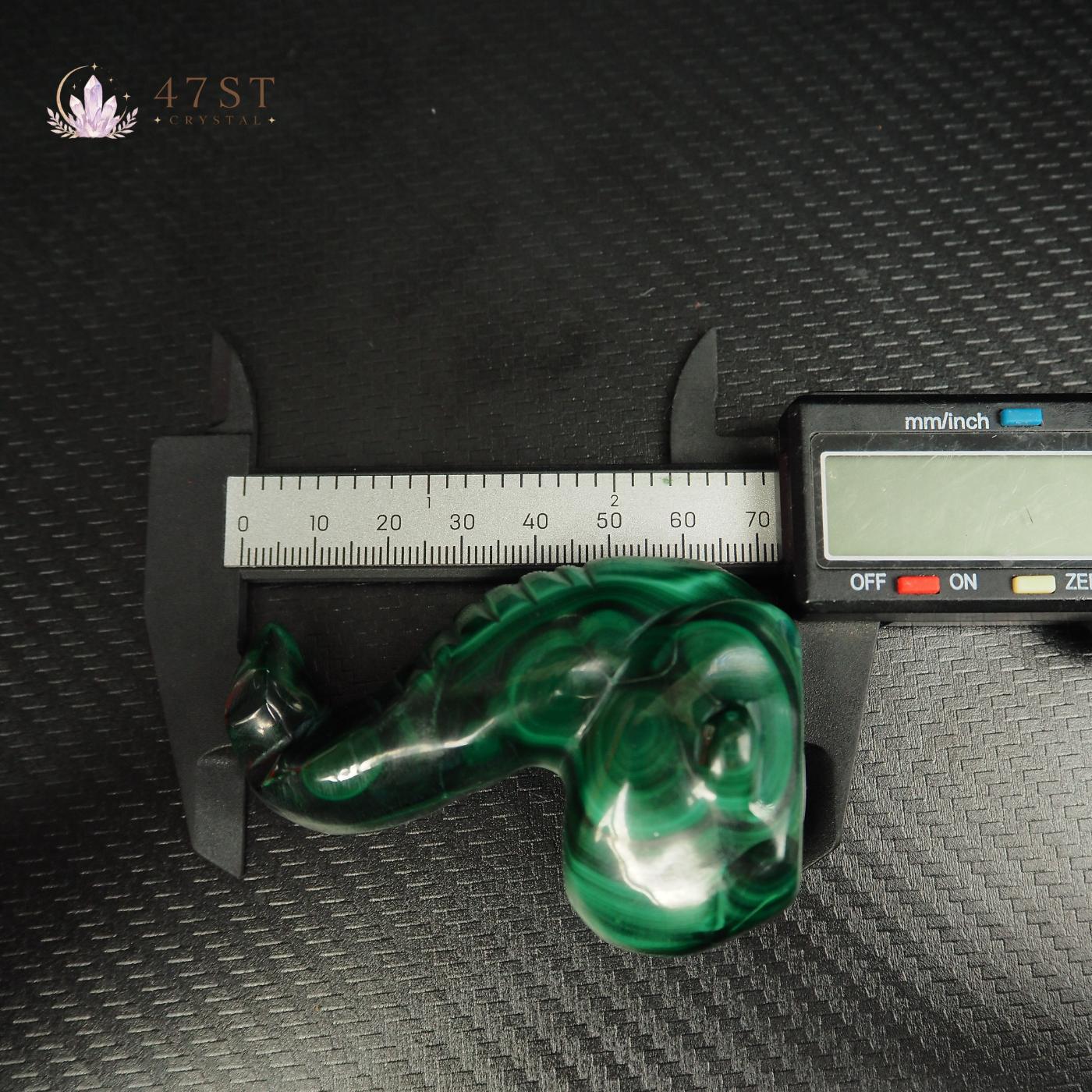 Malachite Snake