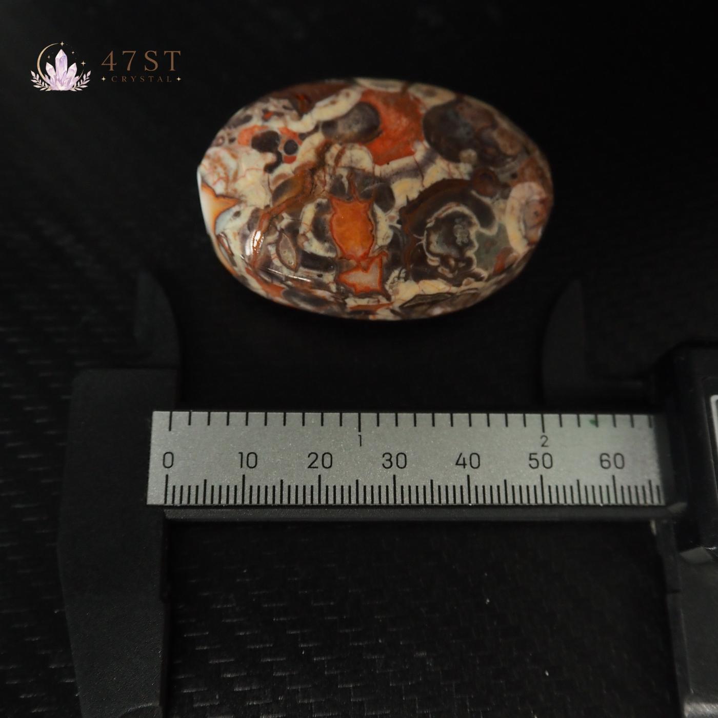 Money Agate Palm Stone
