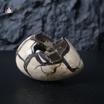 Turtle Shell Stone Egg Carving