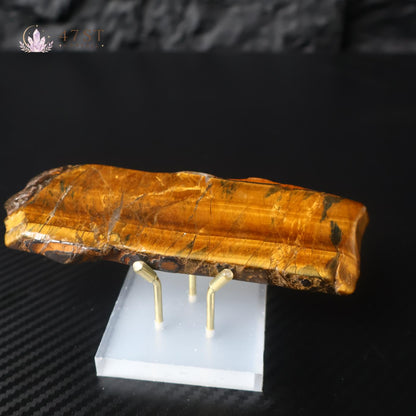 Yellow Tiger Eye Slice Specimen