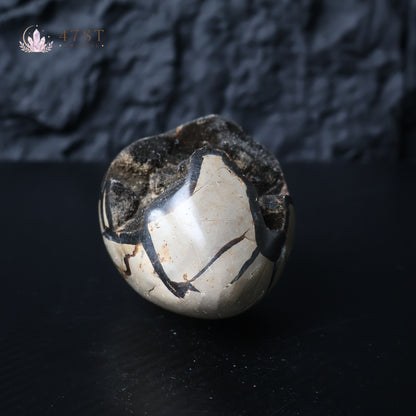 Turtle Shell Stone Egg Carving
