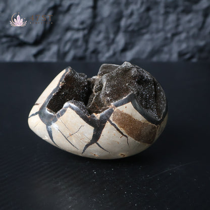Turtle Shell Stone Egg Carving
