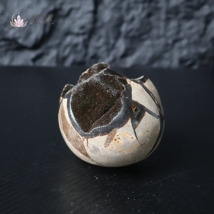 Turtle Shell Stone Egg Carving