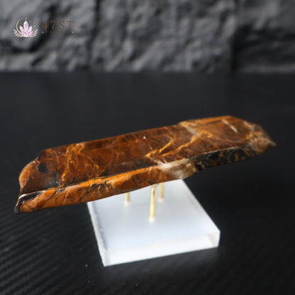Yellow Tiger Eye Slice Specimen