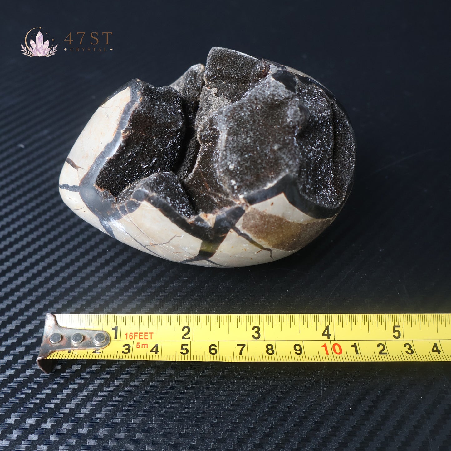 Turtle Shell Stone Egg Carving