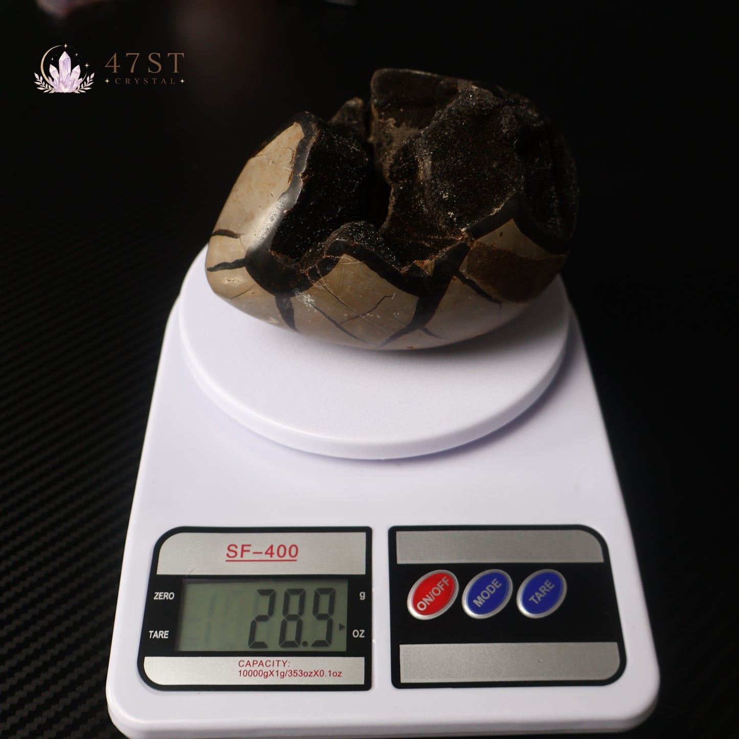 Turtle Shell Stone Egg Carving