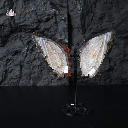 Agate Butterfly Wings Display