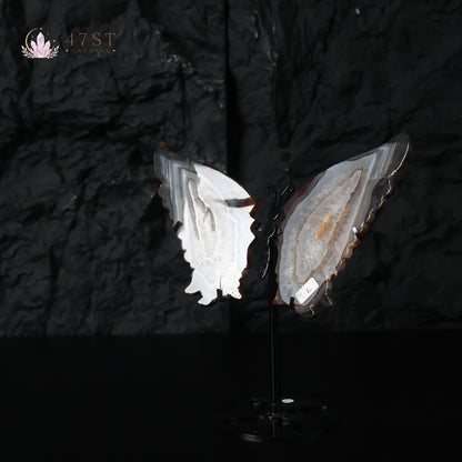 Agate Butterfly Wings Display