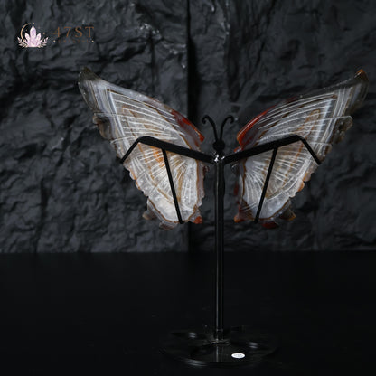 Agate Butterfly Wings Display