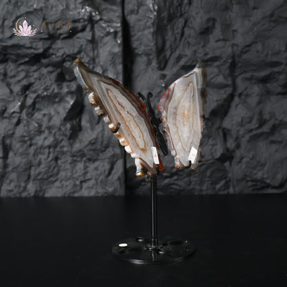 Agate Butterfly Wings Display