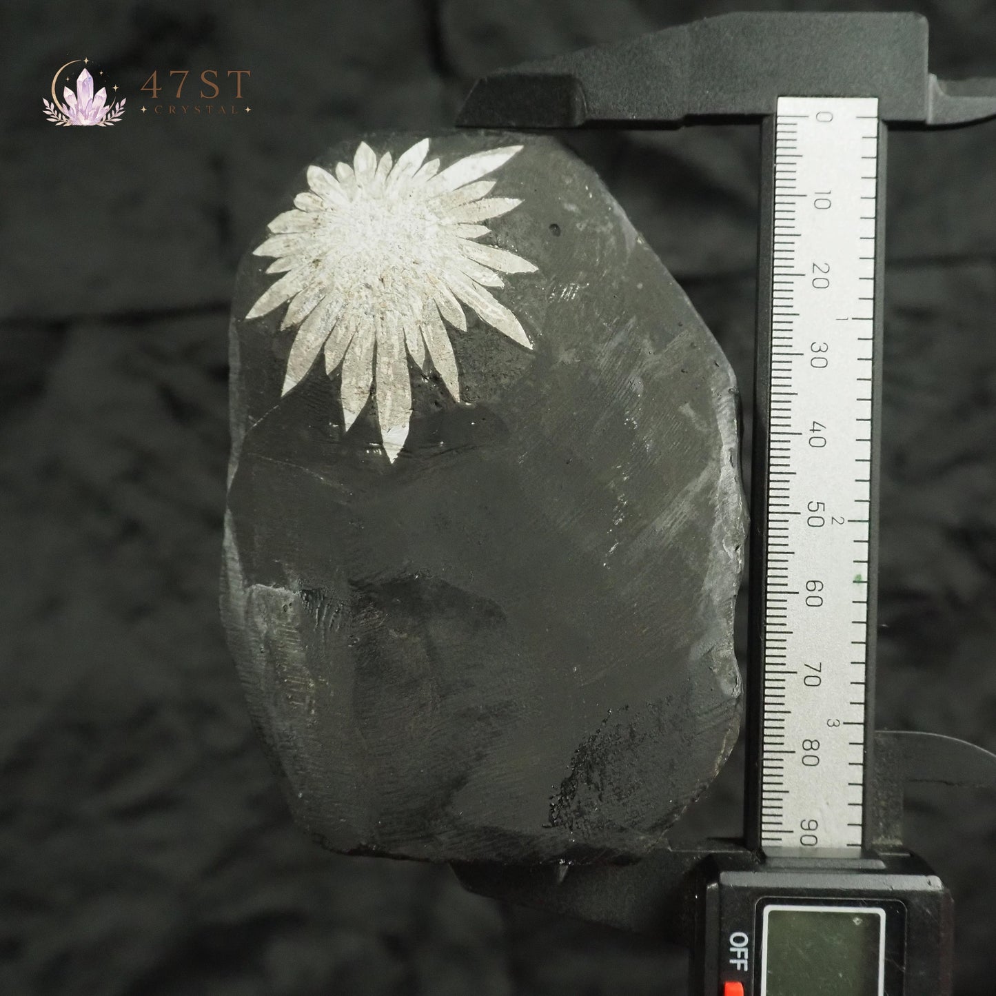 Chrysanthemum Stone