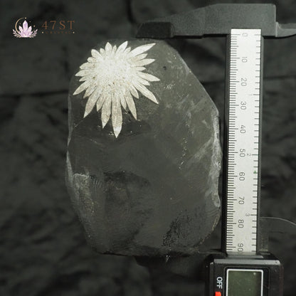 Chrysanthemum Stone