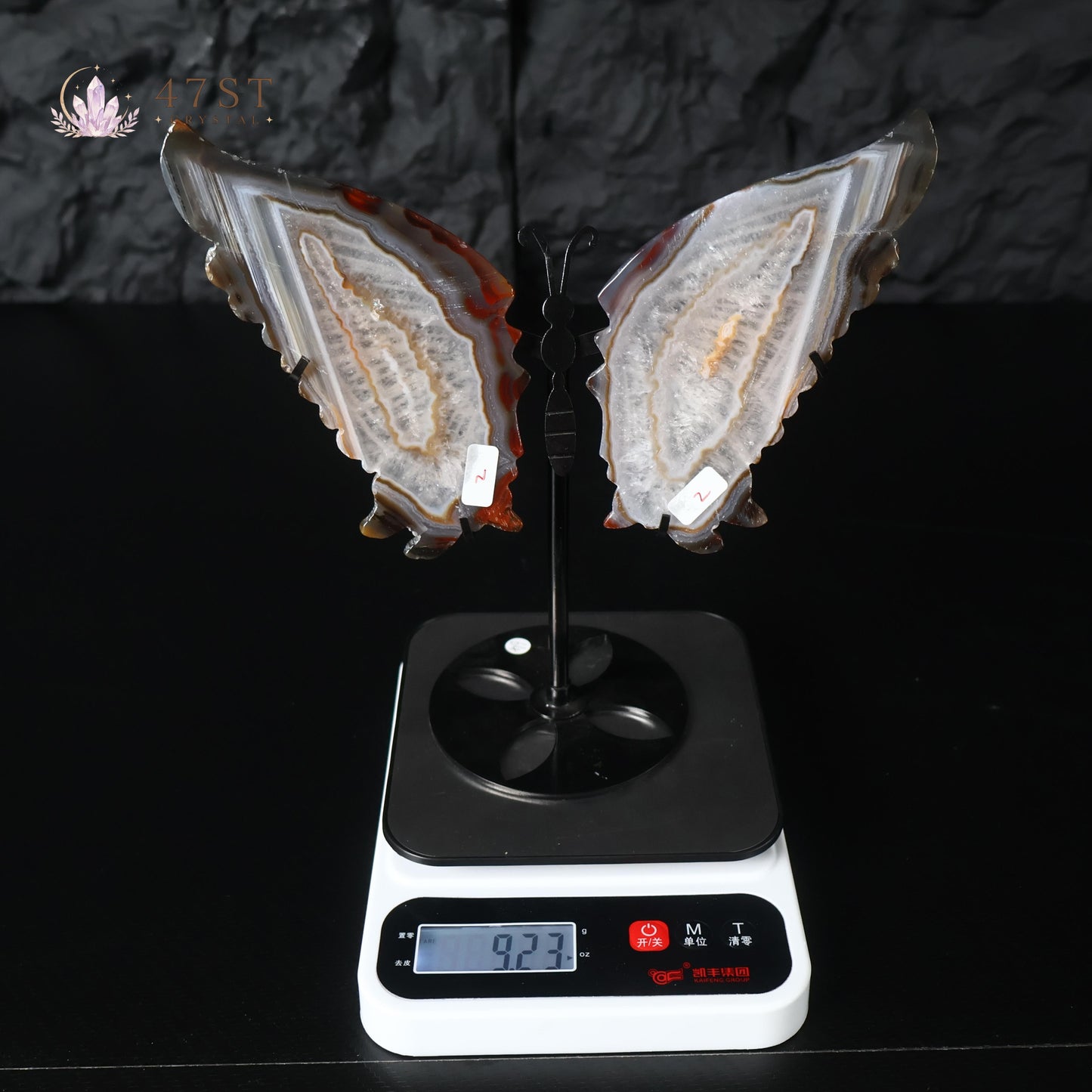 Agate Butterfly Wings Display