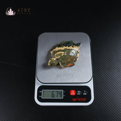 Ocean Jasper Turtle Carving