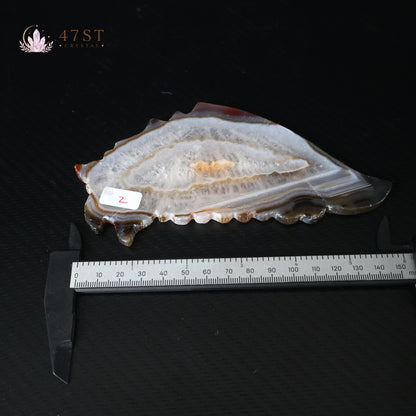 Agate Butterfly Wings Display