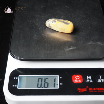 Bumblebee Jasper Palm