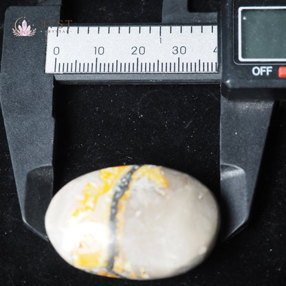 Bumblebee Jasper Palm