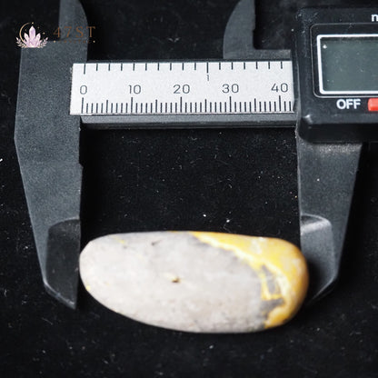 Bumblebee Jasper Palm