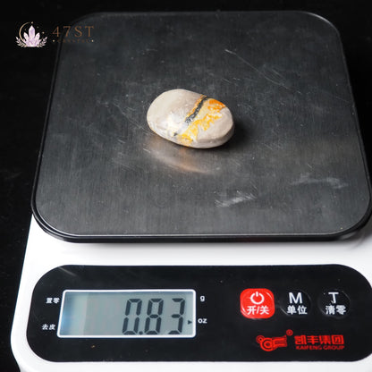 Bumblebee Jasper Palm