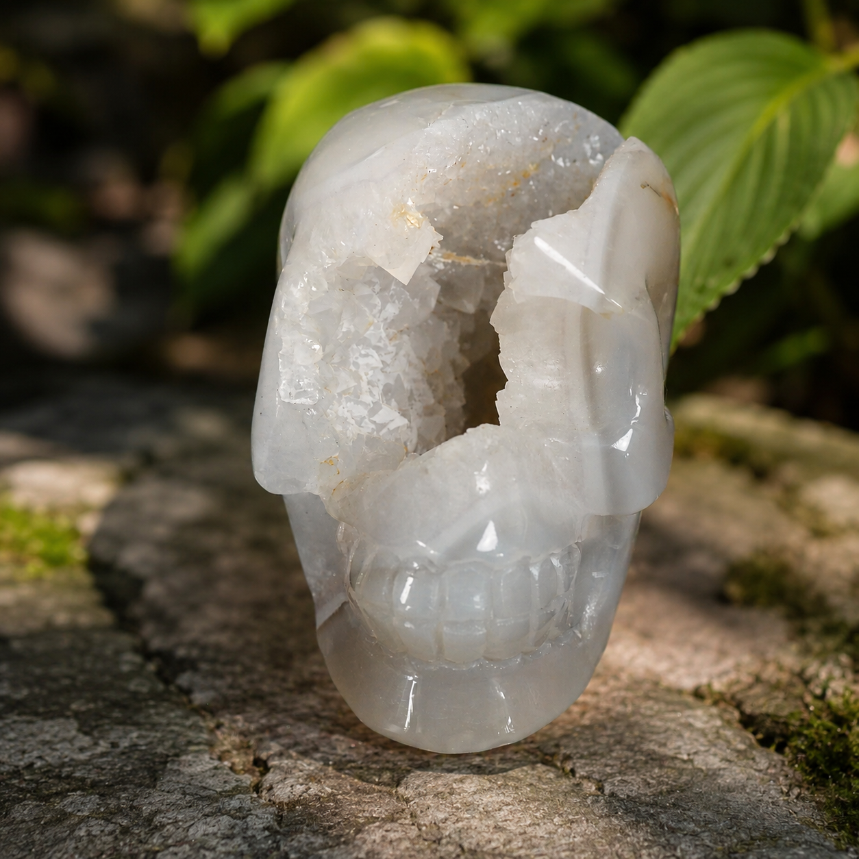 Agate Druzy Skull Carving