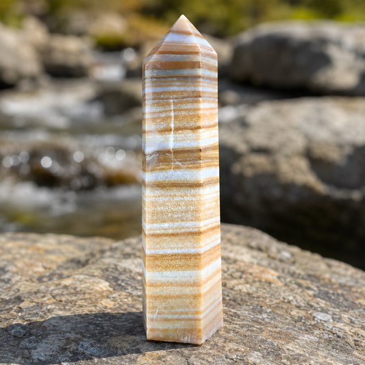 Ocean Jasper Tower
