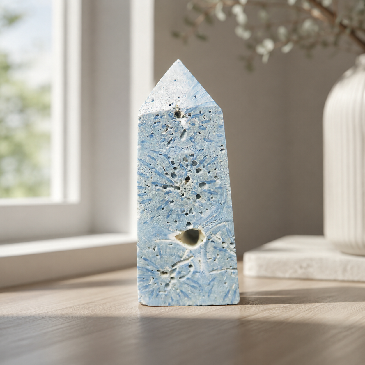 Blue Coral Jasper Point
