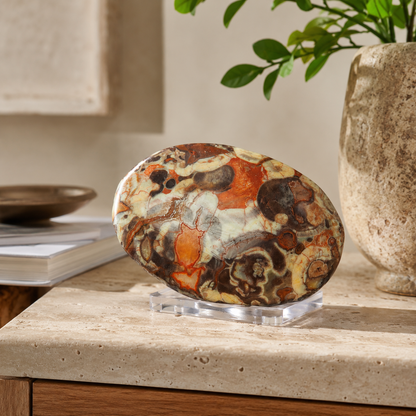 Money Agate Palm Stone