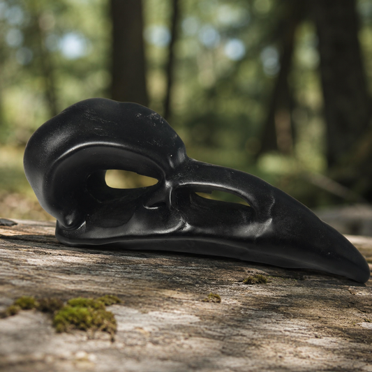 Obsidian Bird Skull