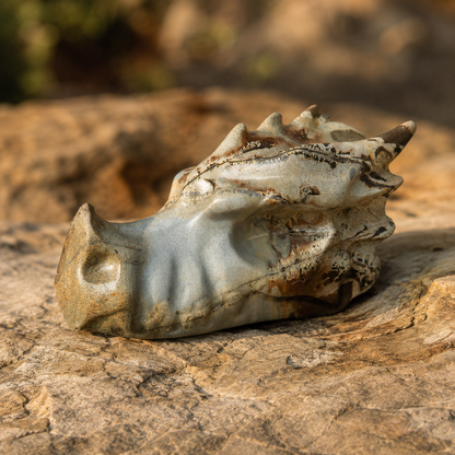 Picture Jasper Dragon Head