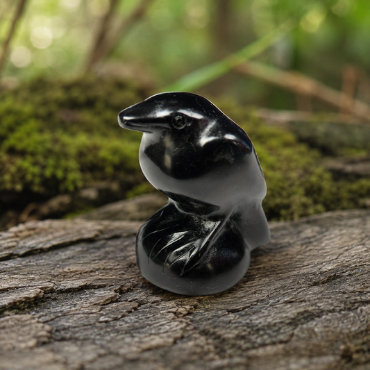 Obsidian Crow