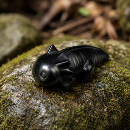 Obsidian Axolotl