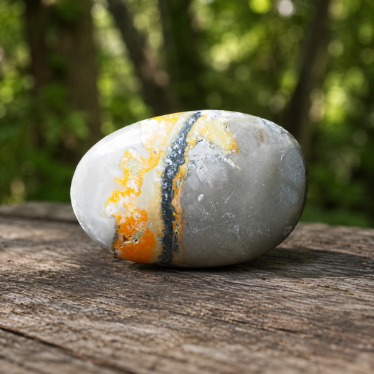 Bumblebee Jasper Palm