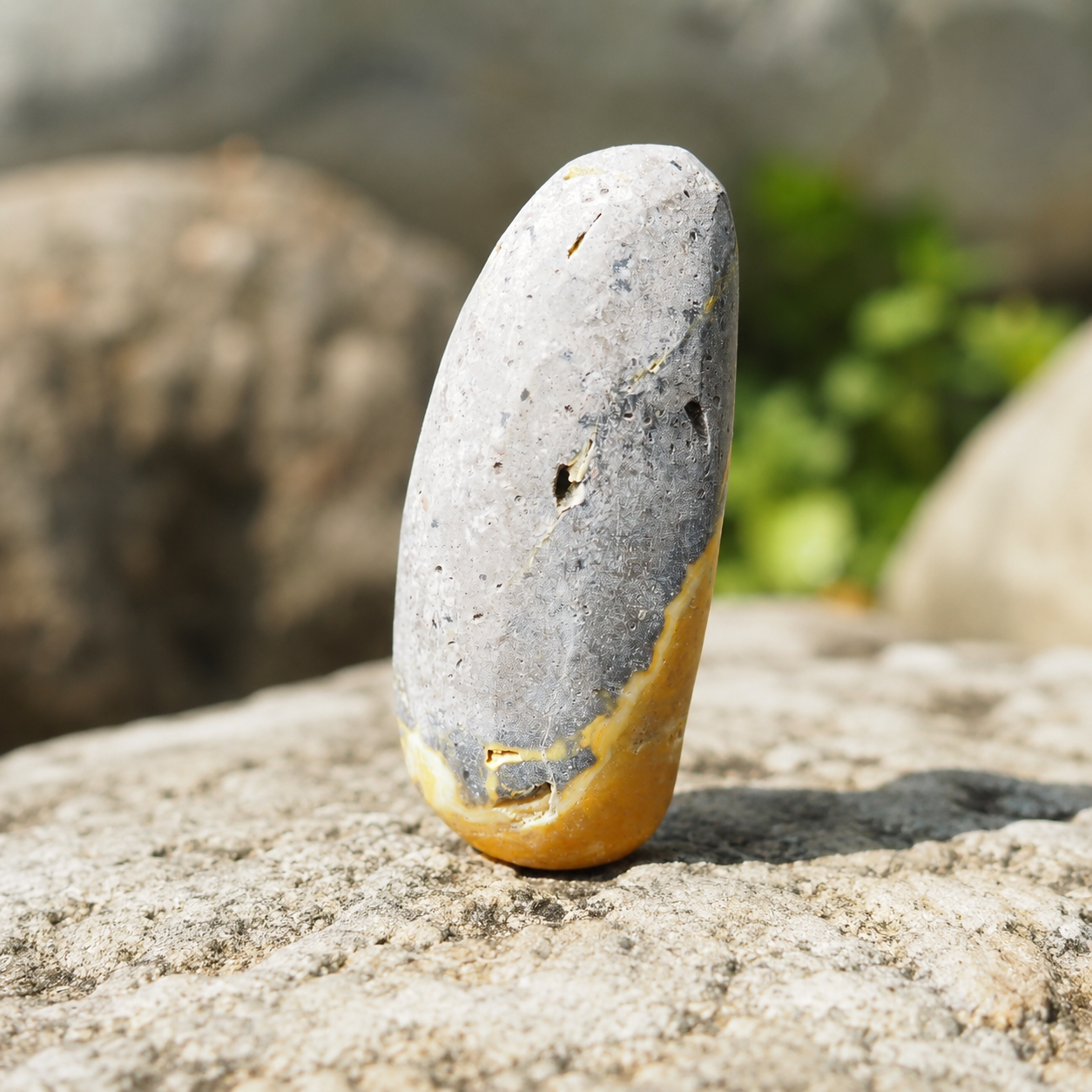Bumblebee Jasper Palm