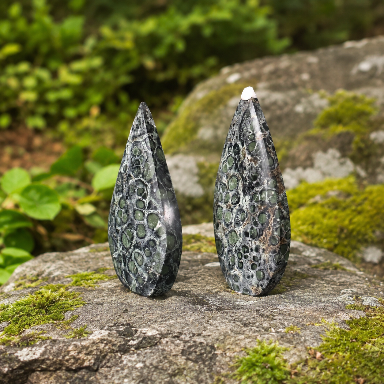 Kambaba Jasper Freeform