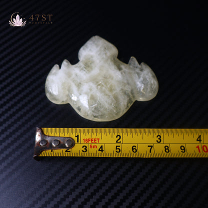 Citrine Fish