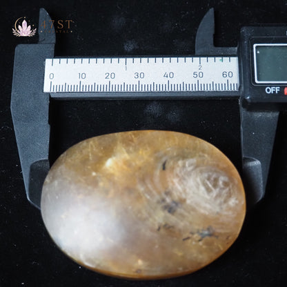 Golden Mica Palm