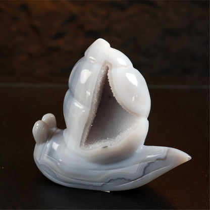 Druzy Agate Snail Carving