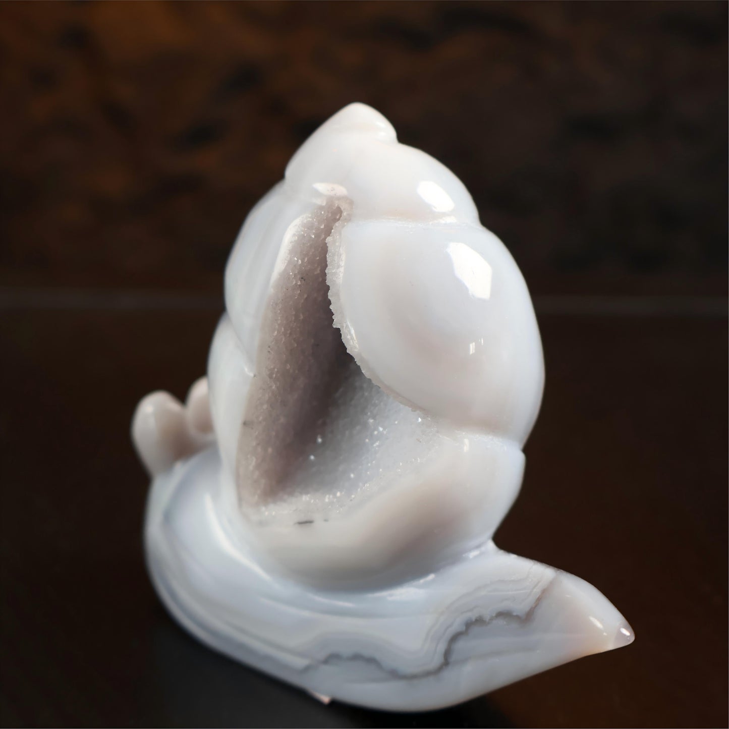 Druzy Agate Snail Carving