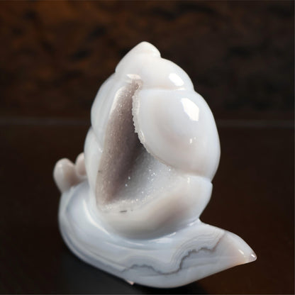 Druzy Agate Snail Carving