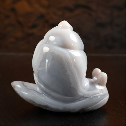 Druzy Agate Snail Carving