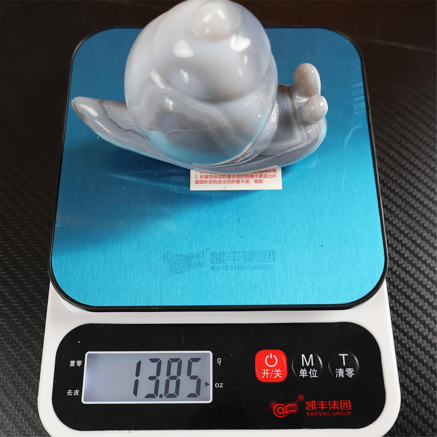 Druzy Agate Snail Carving