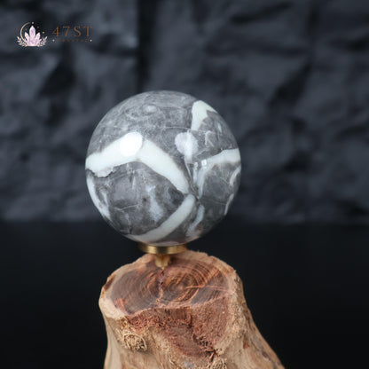 Shell Jasper Sphere