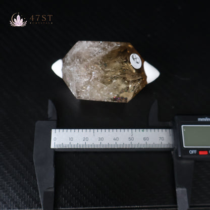 Citrine DT Point