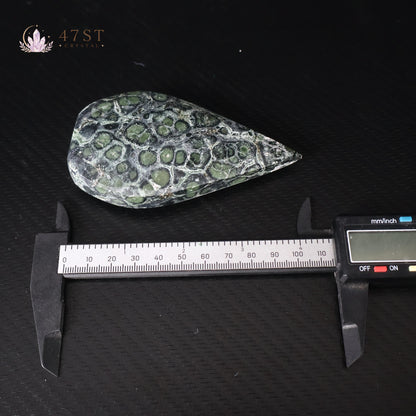 Kambaba Jasper Freeform