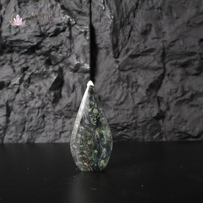 Kambaba Jasper Freeform