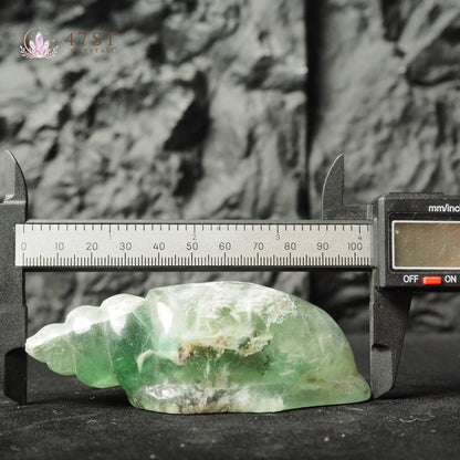 Snowflake Fluorite Conch Carving