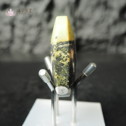 Serpentine Palm Stone