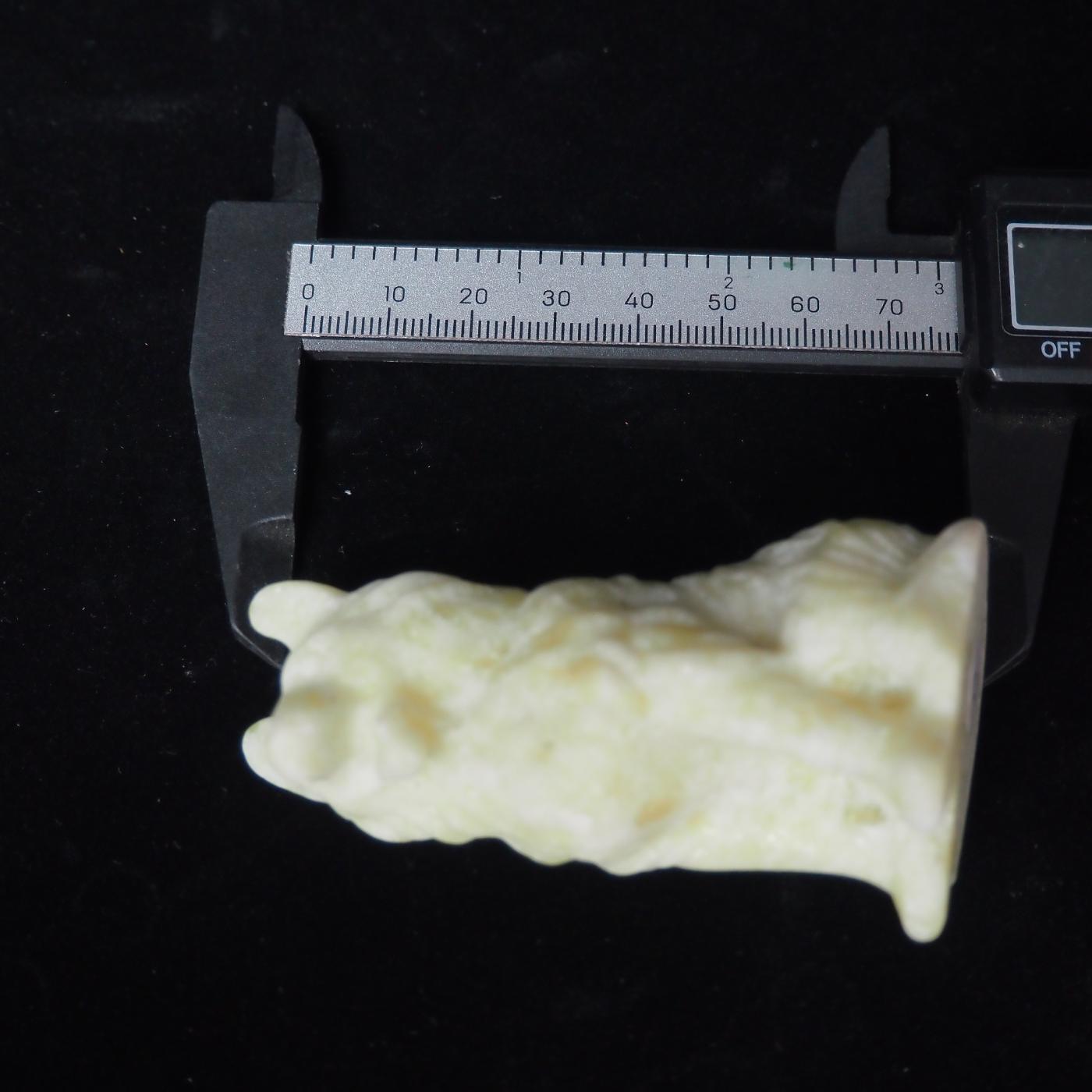 Muti-Material Wolf Carving